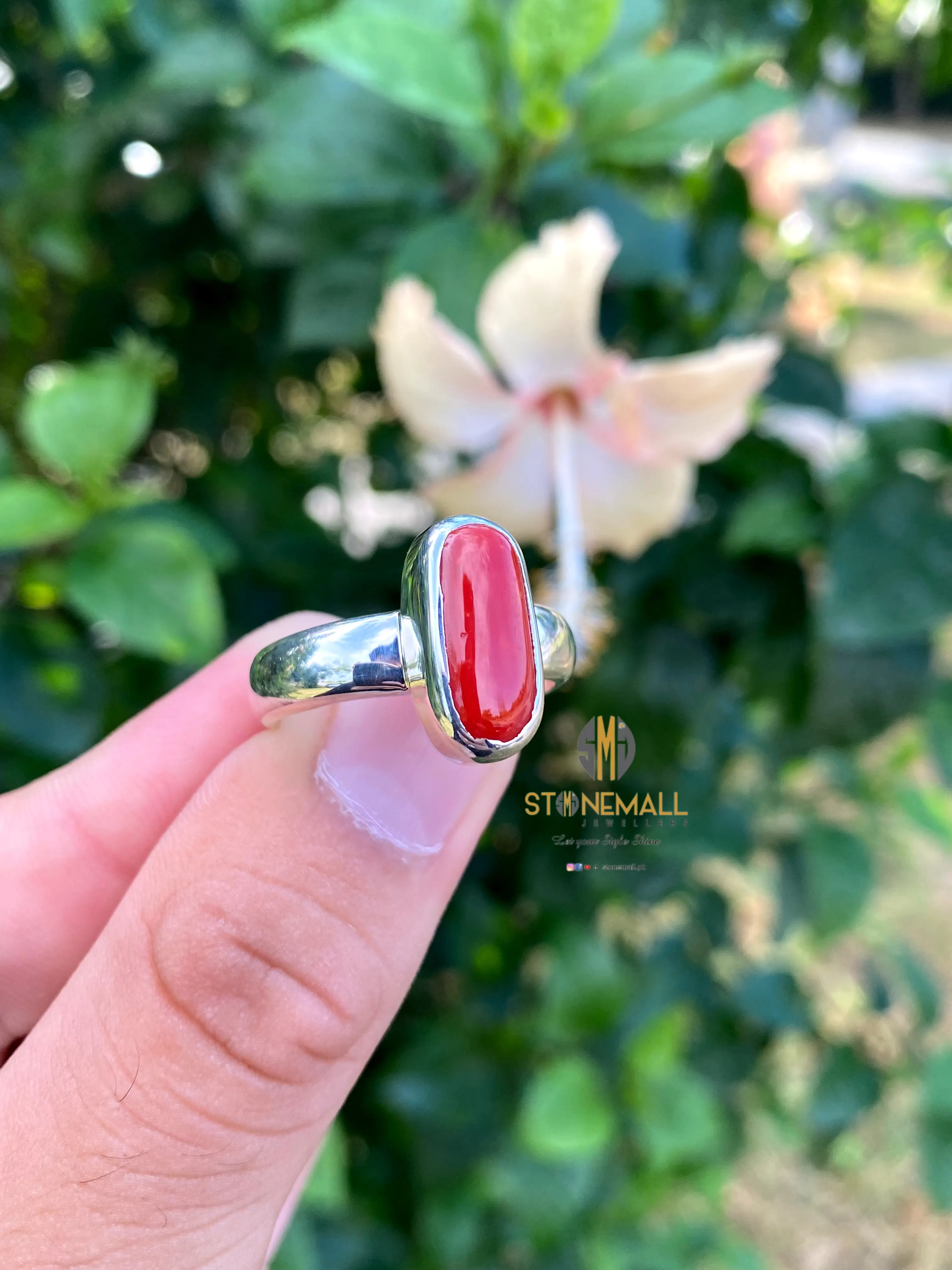 Natural Italian Coral 925 Sterling Silver Classic Simple Design Ring - Image 3