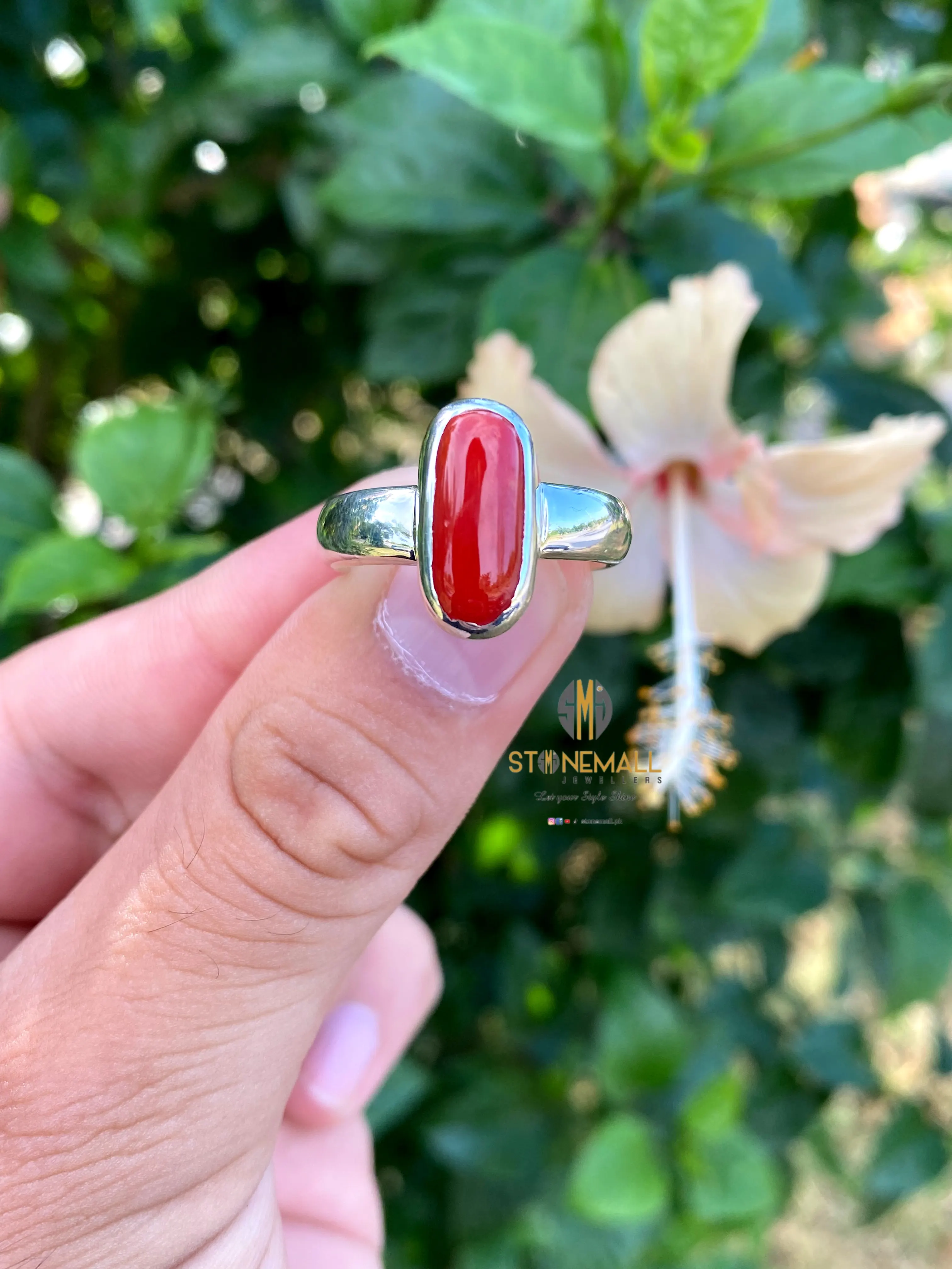 Natural Italian Coral 925 Sterling Silver Classic Simple Design Ring - Image 2